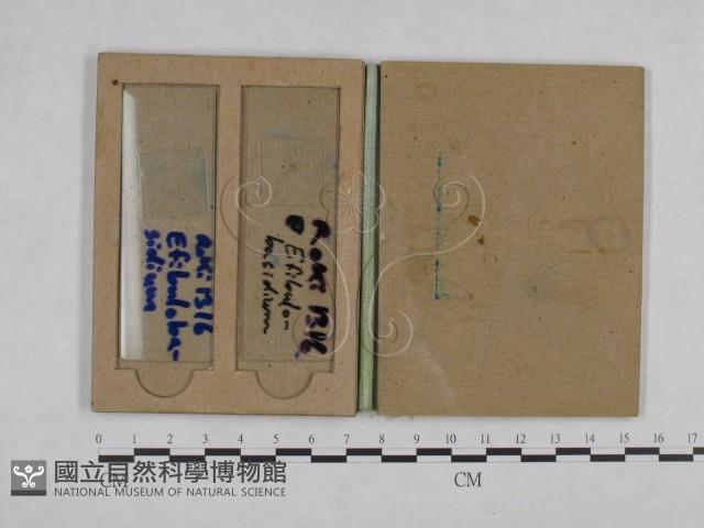 登錄號:F0024988藏品圖，第4張