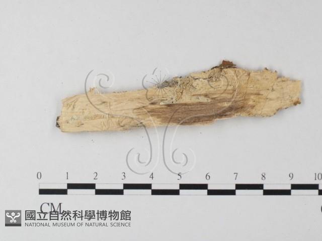 登錄號:F0011688藏品圖，第4張