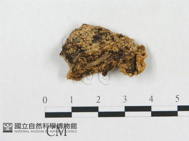 登錄號:F0017488藏品圖，第4張