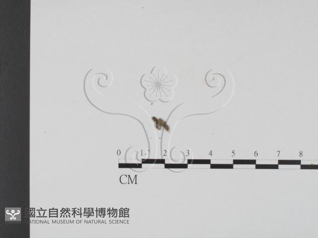 登錄號:F0020188藏品圖，第4張