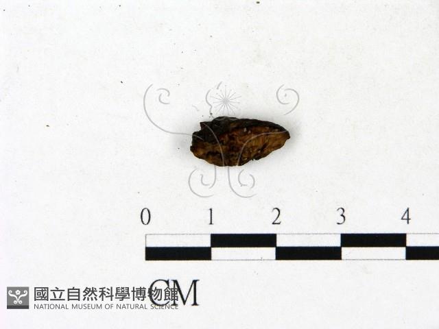 登錄號:F0023188藏品圖，第4張