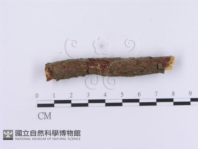 登錄號:F0001088藏品圖，第4張