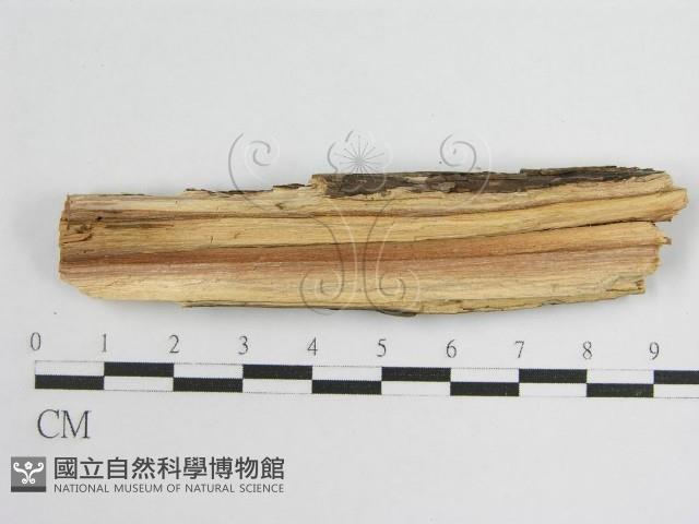 登錄號:F0011990藏品圖，第4張
