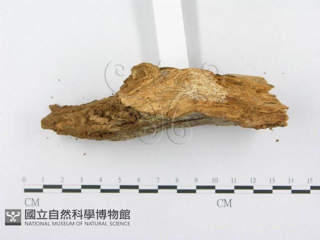 登錄號:F0014990藏品圖，第4張