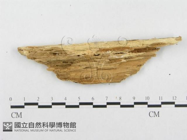 登錄號:F0005990藏品圖，第4張