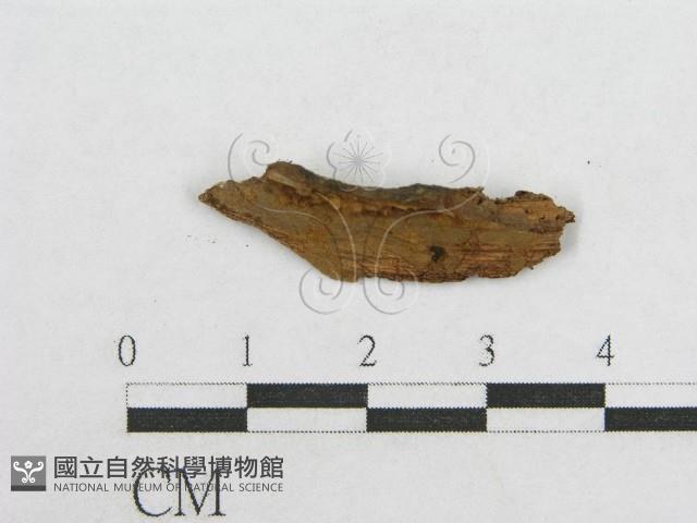 Accession Number:F0014680 Collection Image, Figure 4, Total 4 Figures