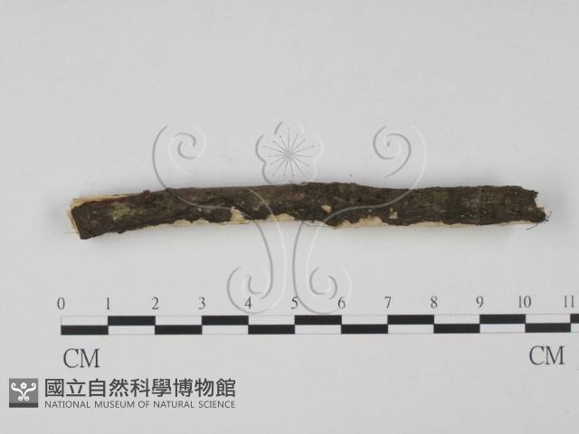 登錄號:F0013680藏品圖，第4張
