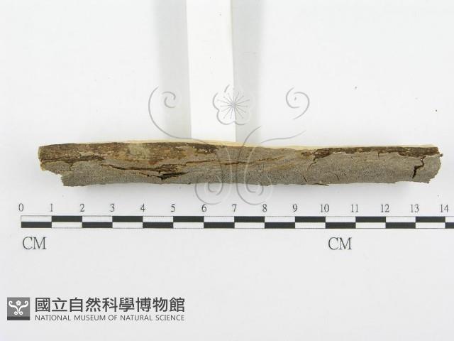 登錄號:F0001580藏品圖，第4張