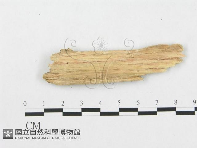 登錄號:F0017296藏品圖，第4張