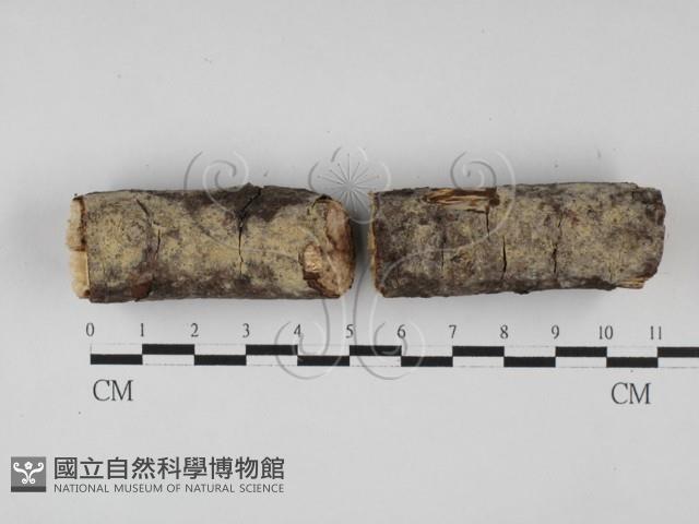 登錄號:F0027696藏品圖，第4張
