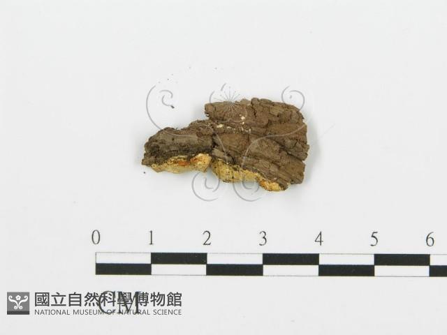 登錄號:F0017496藏品圖，第4張