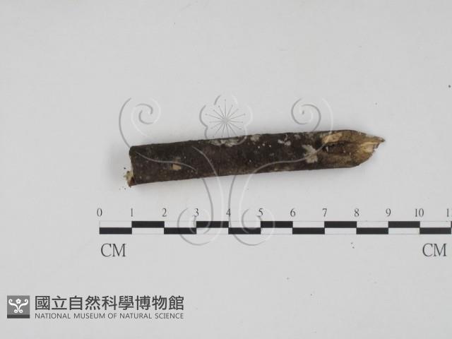 登錄號:F0020196藏品圖，第4張