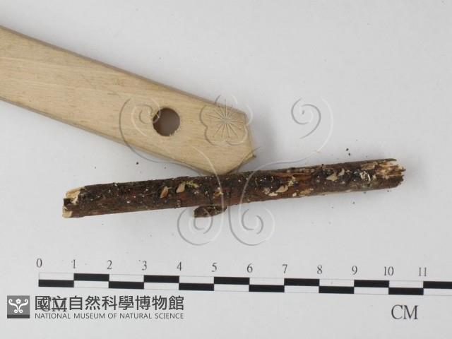登錄號:F0001286藏品圖，第4張