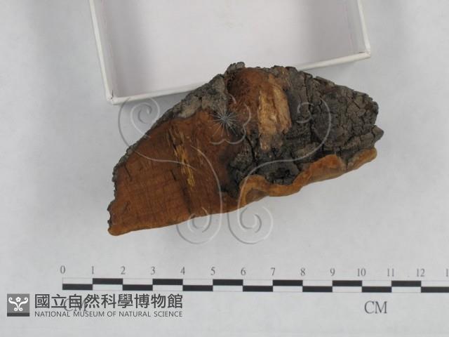 登錄號:F0024786藏品圖，第4張