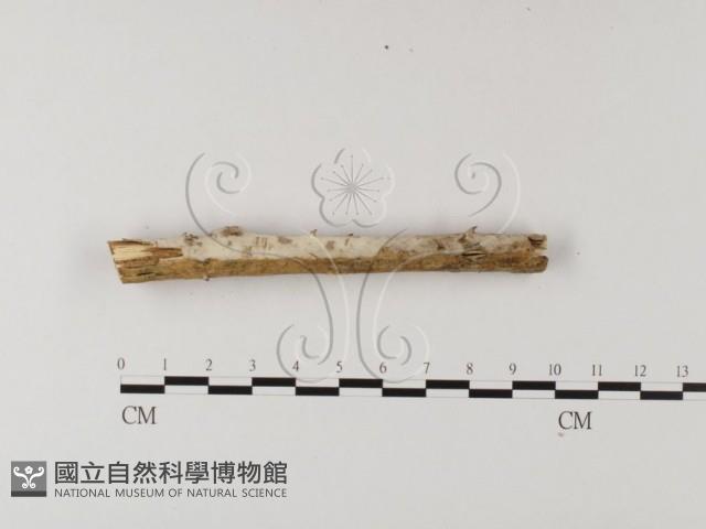 登錄號:F0004086藏品圖，第4張