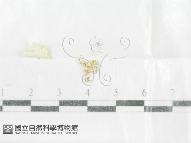 登錄號:F0001001藏品圖，第4張