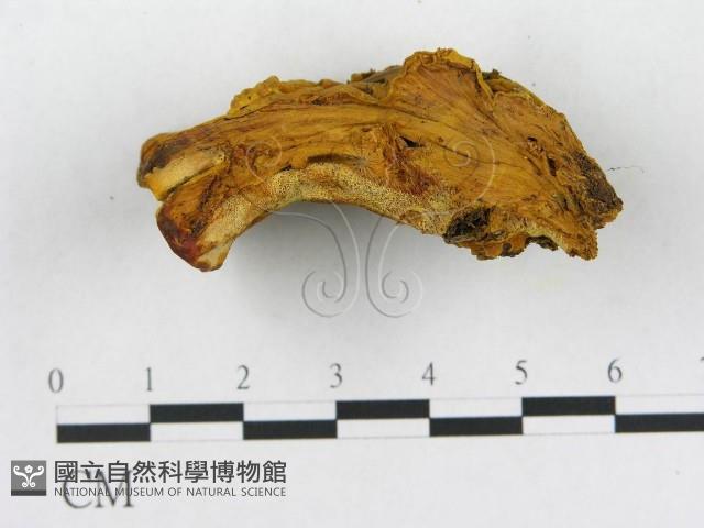 登錄號:F0006291藏品圖，第4張