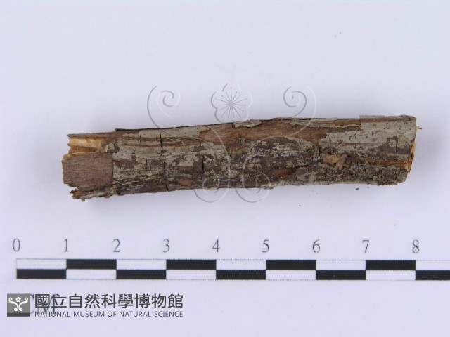 登錄號:F0002991藏品圖，第4張