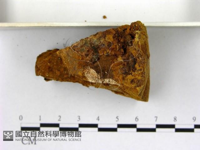 登錄號:F0006281藏品圖，第4張