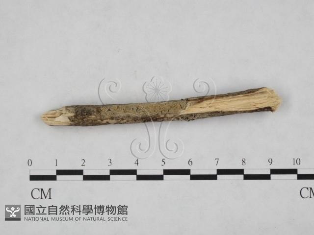 登錄號:F0012781藏品圖，第4張