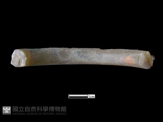 手鐲藏品圖，第4張