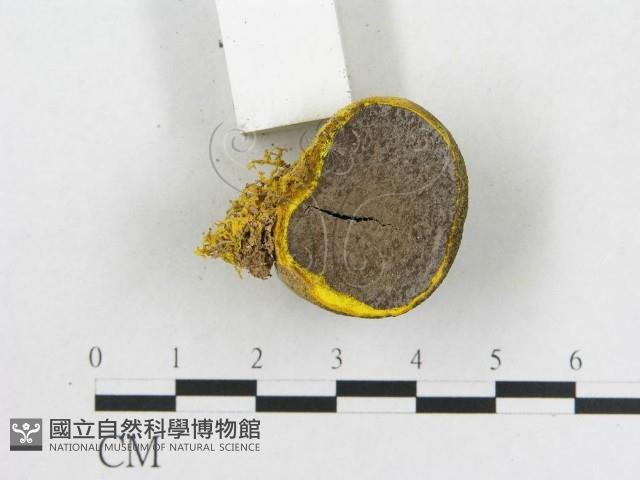 登錄號:F0020494藏品圖，第4張