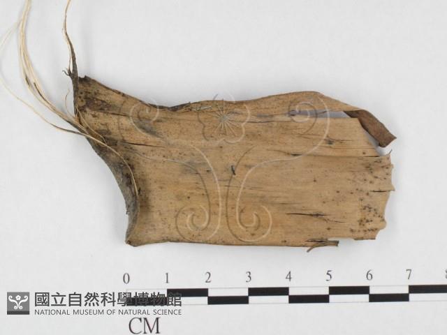 登錄號:F0026794藏品圖，第4張