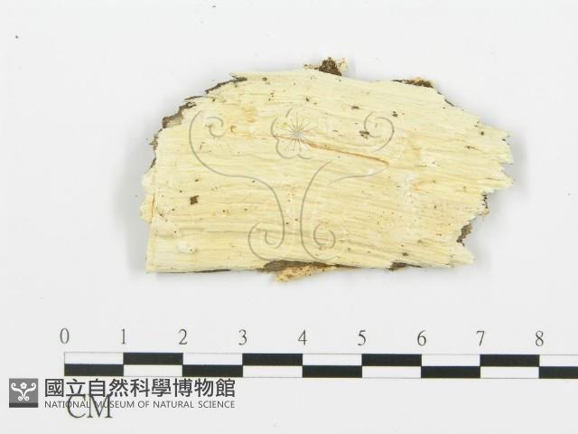 登錄號:F0017284藏品圖，第4張