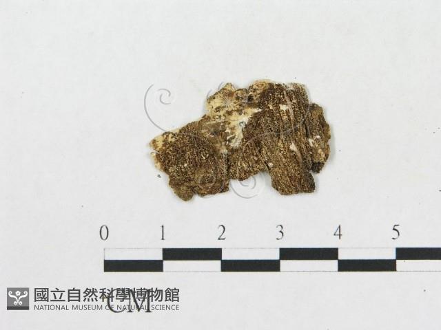 登錄號:F0002884藏品圖，第4張