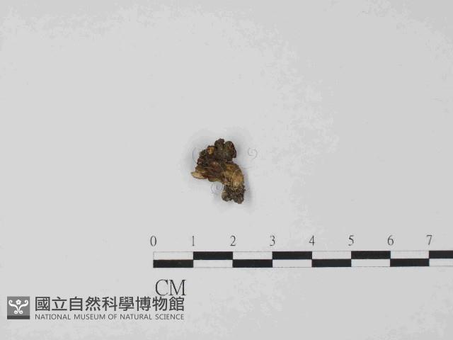 登錄號:F0014684藏品圖，第4張