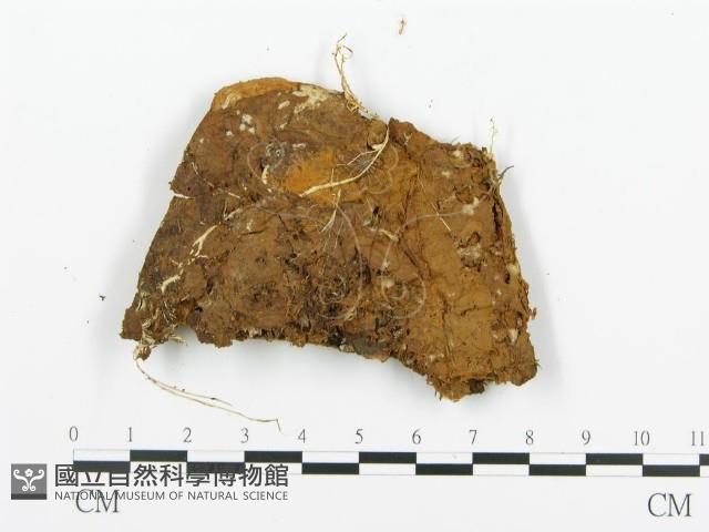 登錄號:F0015784藏品圖，第4張