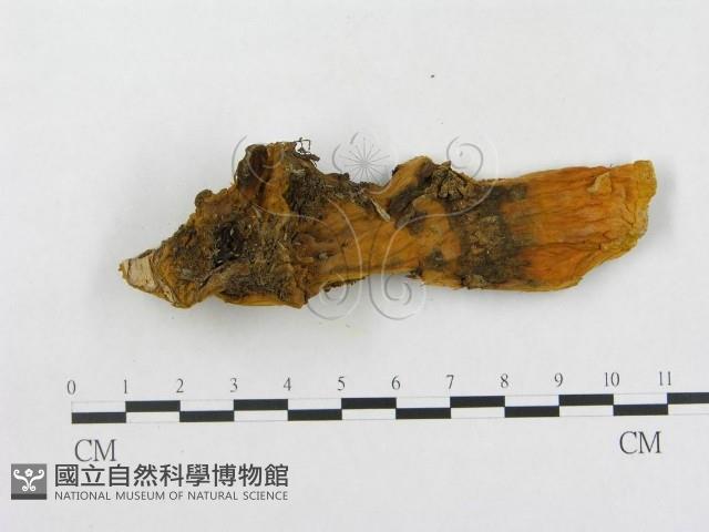 登錄號:F0006292藏品圖，第4張