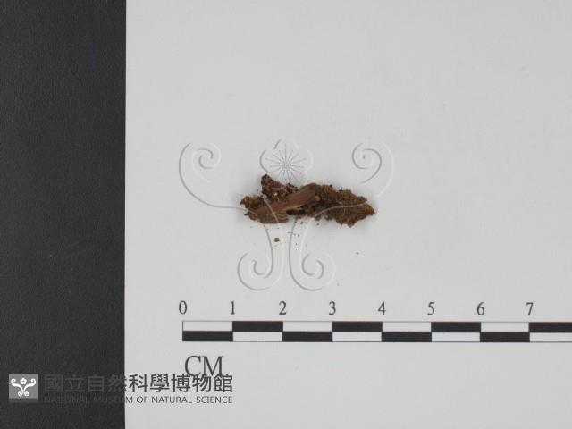 登錄號:F0001092藏品圖，第4張