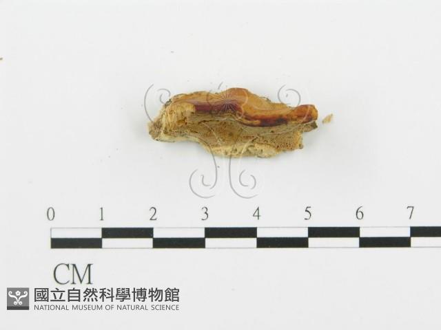 登錄號:F0006392藏品圖，第4張