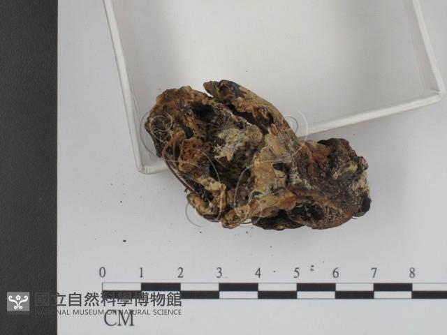 登錄號:F0003882藏品圖，第4張