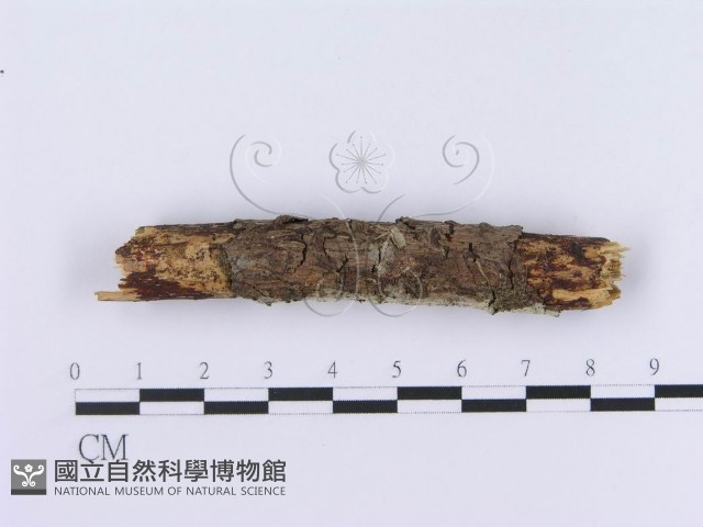 登錄號:F0002997藏品圖，第4張