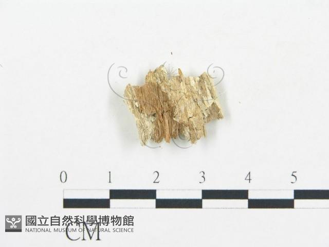 登錄號:F0017497藏品圖，第4張