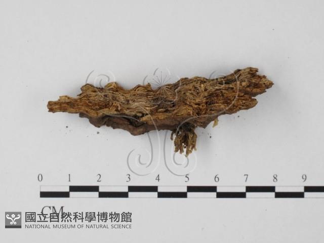 登錄號:F0001797藏品圖，第4張