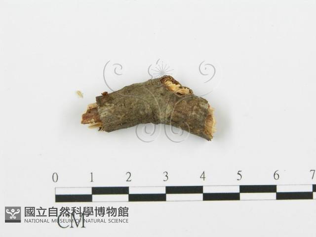 登錄號:F0002097藏品圖，第4張