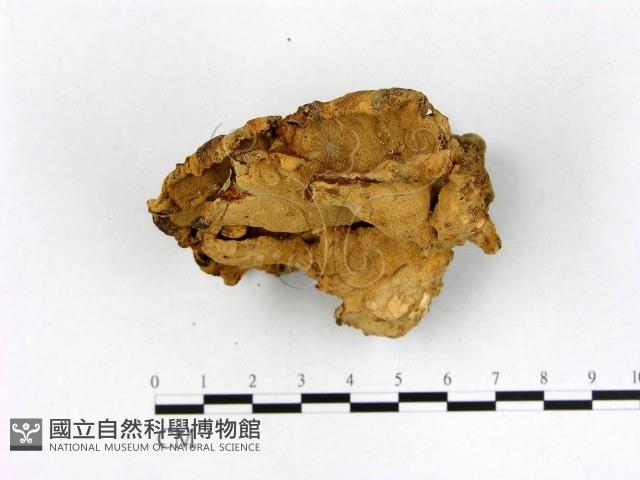 登錄號:F0001287藏品圖，第4張