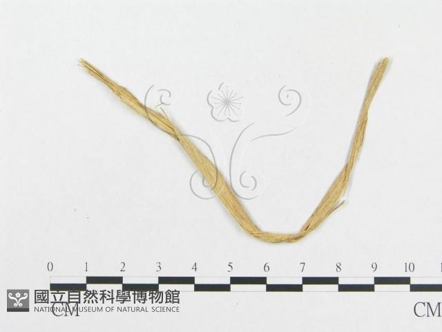 登錄號:F0019287藏品圖，第4張