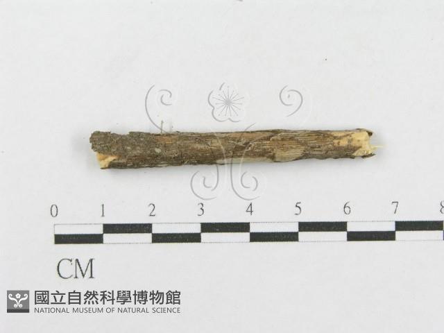 登錄號:F0012787藏品圖，第4張