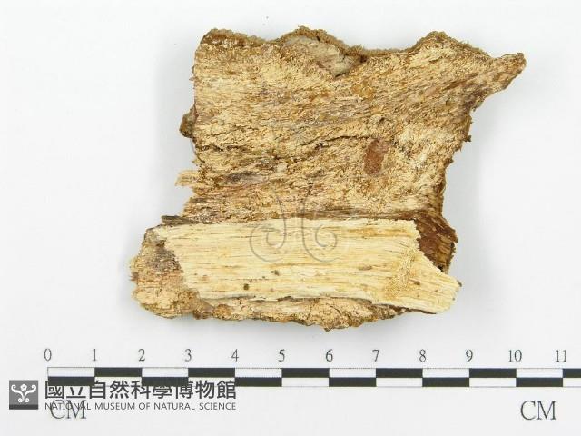 登錄號:F0015787藏品圖，第4張