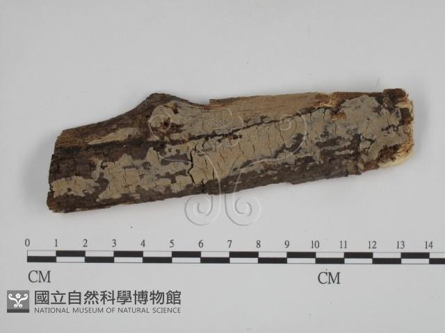 登錄號:F0001587藏品圖，第4張