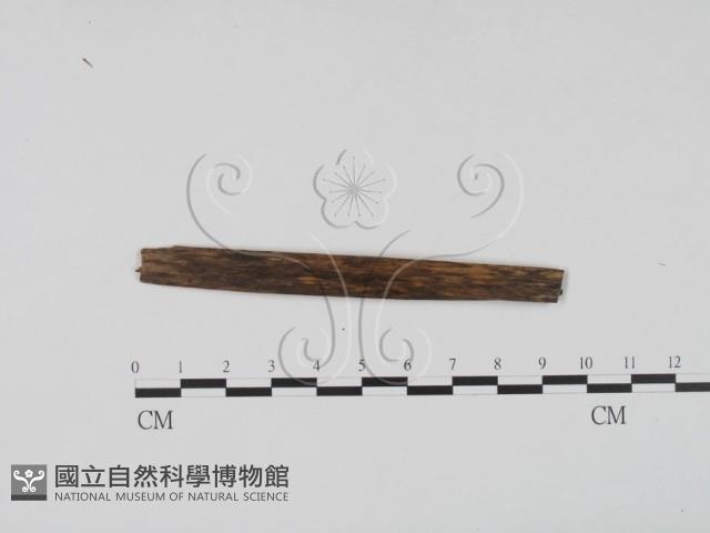 登錄號:F0011587藏品圖，第4張