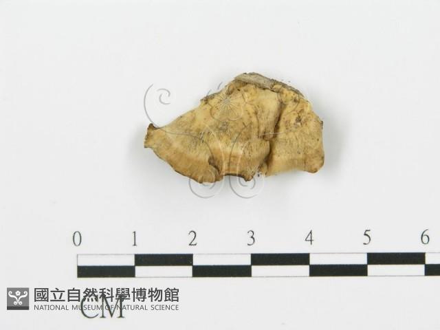 登錄號:F0017587藏品圖，第4張