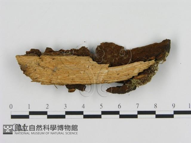 登錄號:F0003187藏品圖，第4張