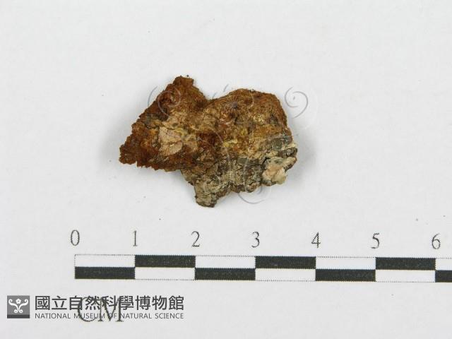 登錄號:F0017387藏品圖，第4張