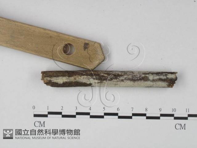 登錄號:F0004095藏品圖，第4張