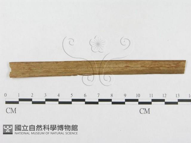 登錄號:F0019285藏品圖，第4張